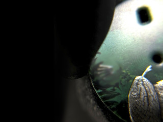 Без имени-1-01-22-10-04.jpg